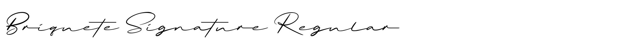 Briquete Signature Regular image